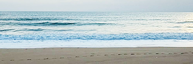 Beachfront land for sale in Mai Khao Beach, Phuket