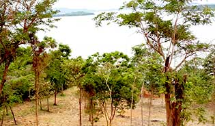 Beachfront land for sale in Ao Por, Phuket