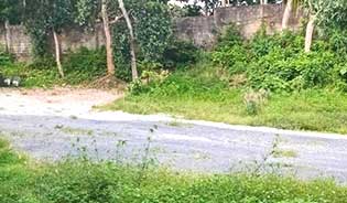 Land for sale in Chalong, Phuket