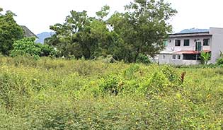 Land for sale in Chalong, Phuket