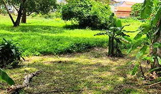 Land for sale in Chalong, Phuket
