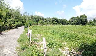 Land For sale in Thalang District, Phuket