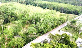 Best Price Land for Sale in Thalang District, Phuket