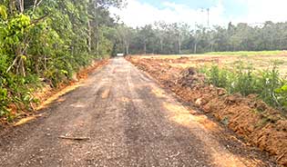 Best Price Land for Sale in Thalang Area, Phuket