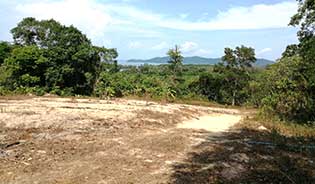 Sea View Land for Sale in Thalang District, Phuket