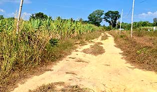 Rare Land For sale in Thalang District, Phuket