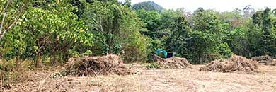 Land for sale in Thalang District, Phuket