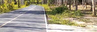 Cheap land for Sale with yellow zone in Thalang, Phuket