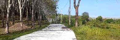 Cheap land for Sale with yellow zone in Thalang, Phuket