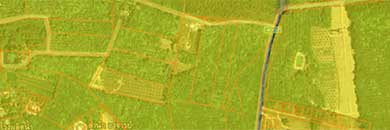 Cheap land for Sale with yellow zone in Thalang, Phuket