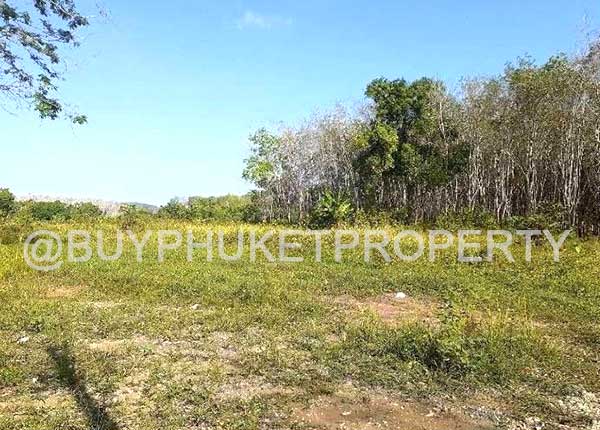 Cheap land for Sale with yellow zone in Thalang, Phuket