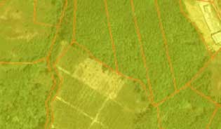 Phuket Land for sale in Thalang District