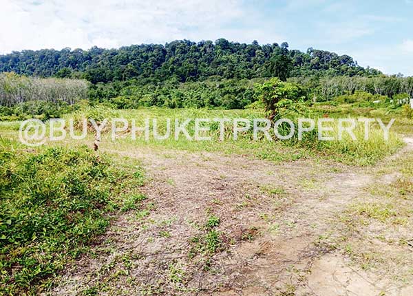 Land for sale in Thalang Area, Phuket