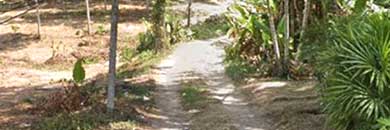 Phuket Land for Sale in Thalang District