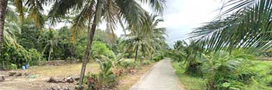 1 rai land for sale in mai khao beach, phuket
