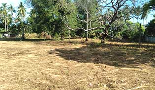 1 Rai land for sale in mai khao beach, Phuket