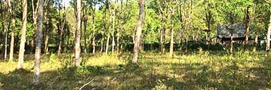 6 rai land for sale in mai khao beach, phuket