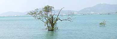 SEA VIEW LAND FOR SALE IN PANWA BEACH, PHUKET
