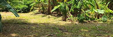 Land for sale 3 rai in Chalong, Phuket