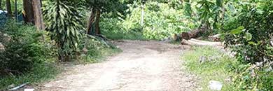 LAND FOR SALE IN CHALONG AREA, PHUKET