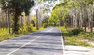 Land fir sale in Thalang, Phuket