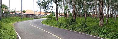 Cheap land for sale in Tonsai Waterfall, Thalang Area, Phuket