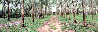 land for sale in Layan area, Phuket