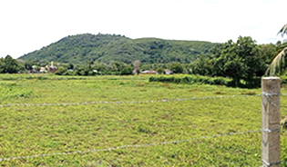 LANRGE LAND FOR SALE IN MAI KHAO, PHUKET
