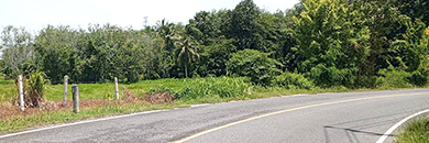 Best Price Phuket Land for Sale in Mai Khao Beach