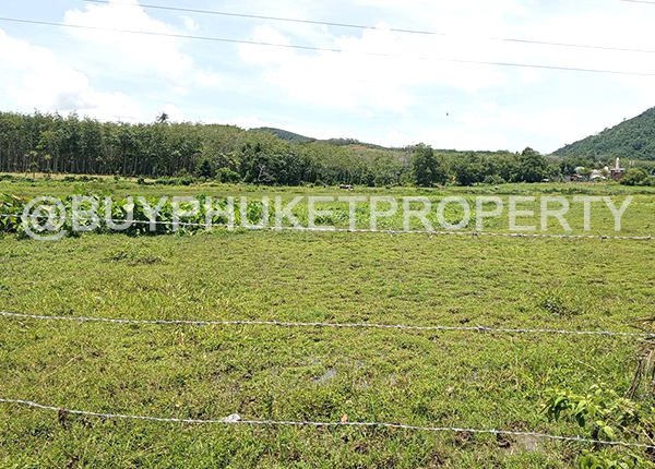 Best Price Phuket Land for Sale in Mai Khao Beach