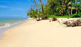 near the beach land for sale in khao lak, phang nga