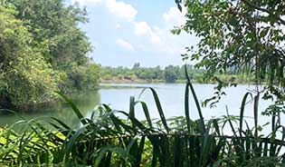  Land for Sale in Khao Lak, Phang Nga