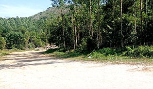 land for sale in Cheong Taley, Phuket